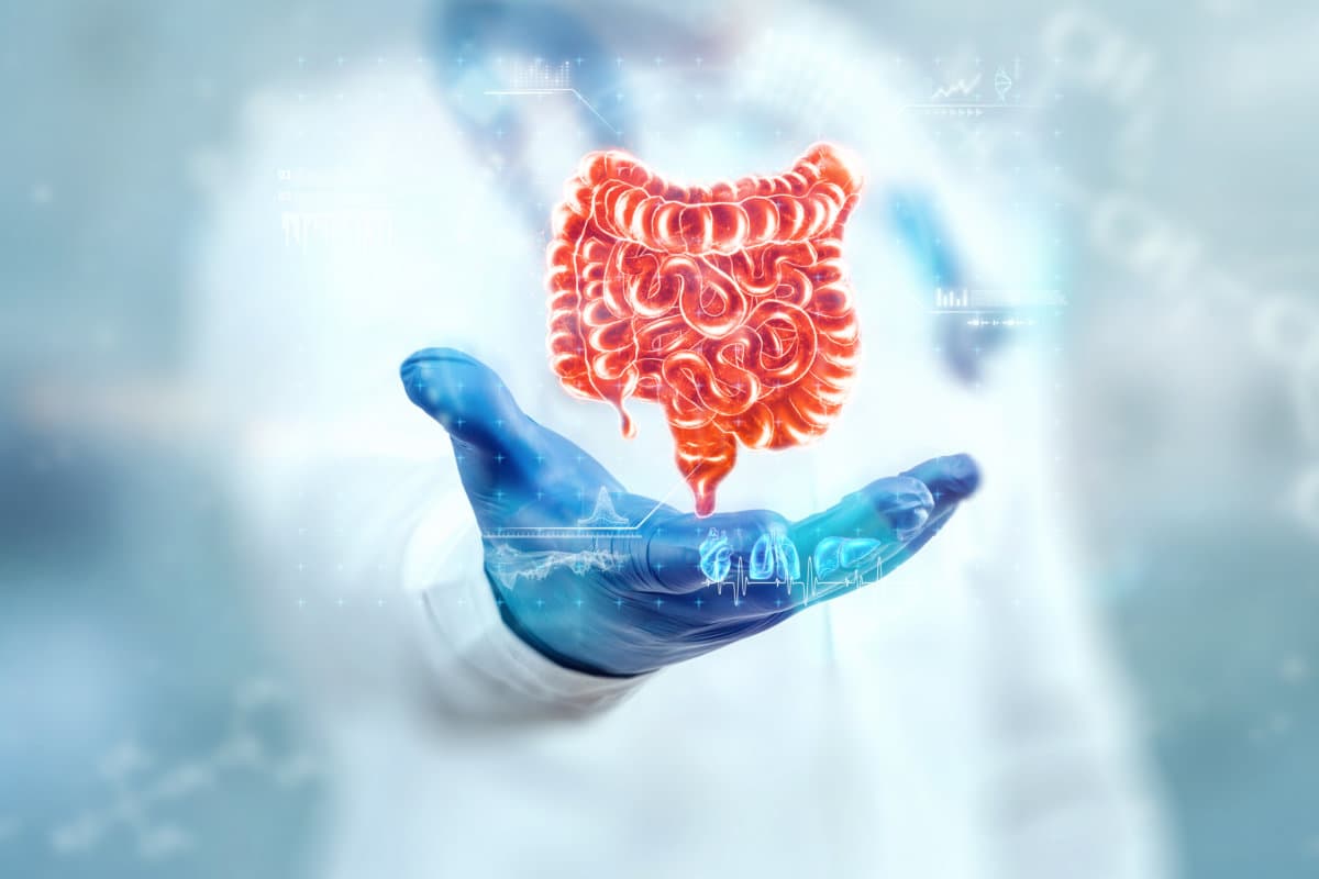 Der Arzt betrachtet das Hologramm des Darms, überprüft das Testergebnis auf der virtuellen Schnittstelle und analysiert die Daten. Geschwür, Chirurgie, innovative Technologien, Medizin der Zukunft.