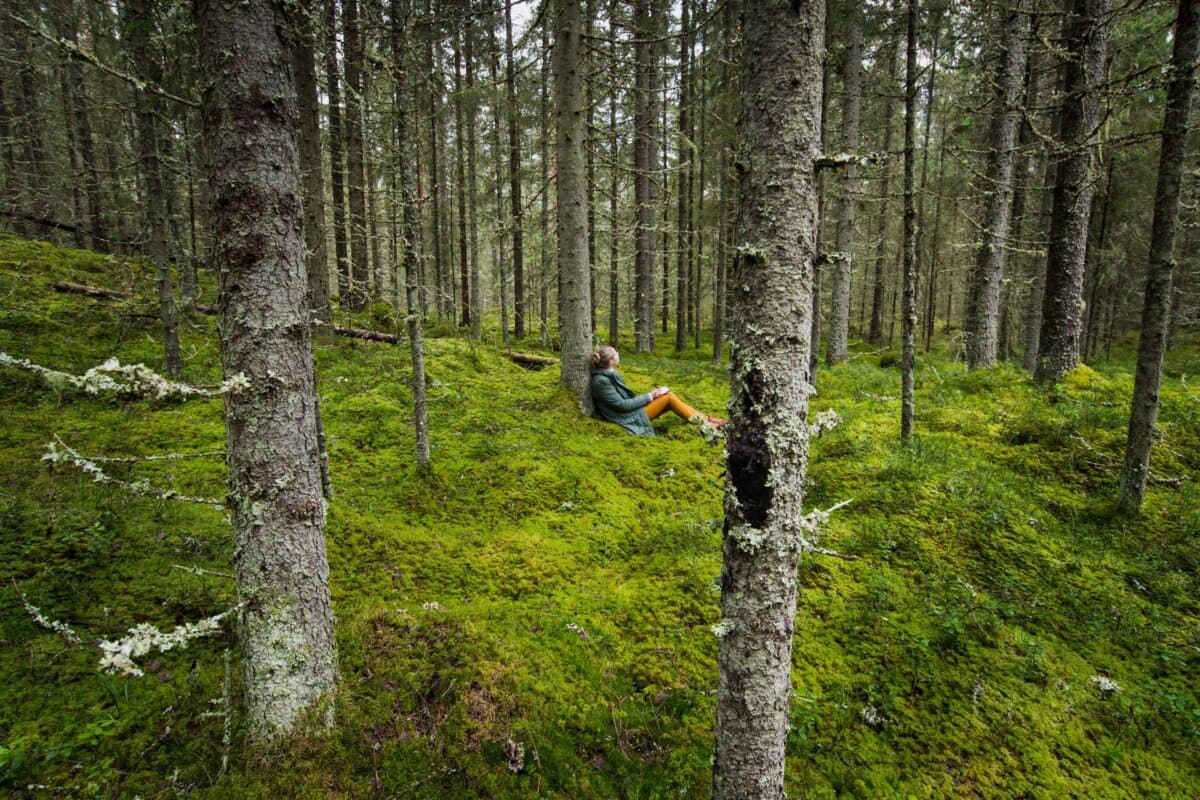 Frau sitzt in einem Wald.