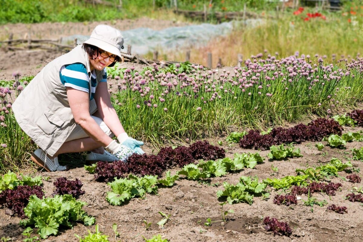 Ein Zeckenbiss bei der Gartenarbeit führte bei der 63-jährigen MS-Patientin zur atypischen Borreliose.
